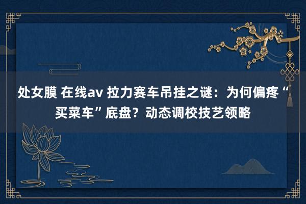处女膜 在线av 拉力赛车吊挂之谜：为何偏疼“买菜车”底盘？动态调校技艺领略