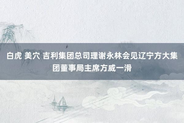 白虎 美穴 吉利集团总司理谢永林会见辽宁方大集团董事局主席方威一滑