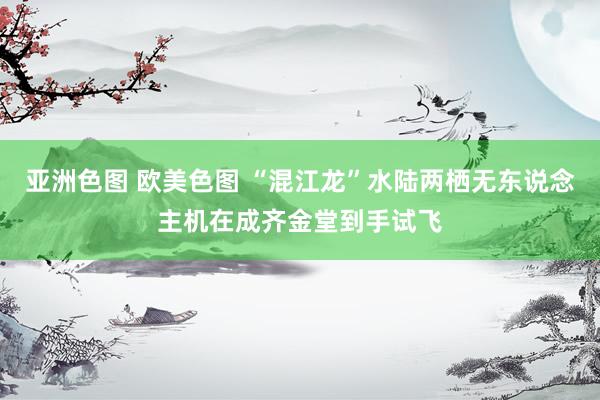 亚洲色图 欧美色图 “混江龙”水陆两栖无东说念主机在成齐金堂到手试飞