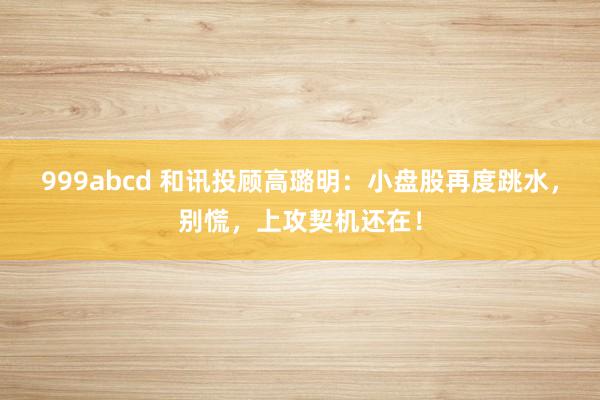 999abcd 和讯投顾高璐明：小盘股再度跳水，别慌，上攻契机还在！