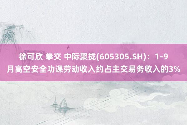 徐可欣 拳交 中际聚拢(605305.SH):1-9月高空安全功课劳动收入约占主交易务收入的3%