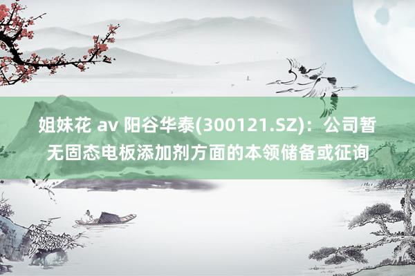 姐妹花 av 阳谷华泰(300121.SZ)：公司暂无固态电板添加剂方面的本领储备或征询