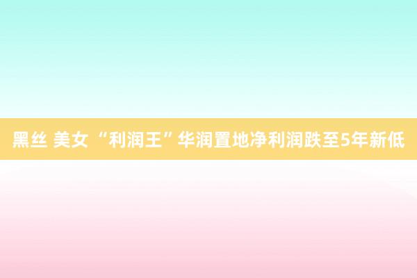 黑丝 美女 “利润王”华润置地净利润跌至5年新低