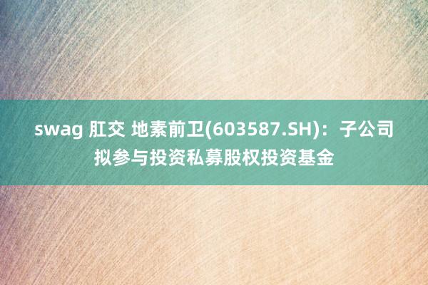 swag 肛交 地素前卫(603587.SH)：子公司拟参与投资私募股权投资基金