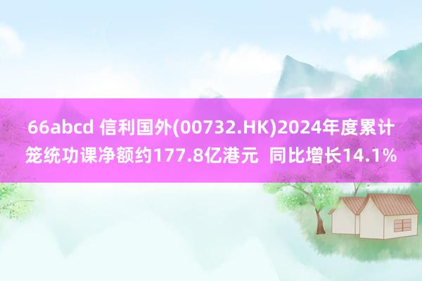 66abcd 信利国外(00732.HK)2024年度累计笼统功课净额约177.8亿港元  同比增长14.1%