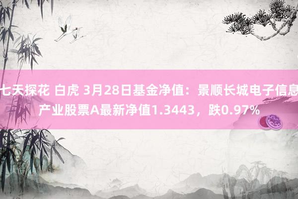 七天探花 白虎 3月28日基金净值：景顺长城电子信息产业股票A最新净值1.3443，跌0.97%