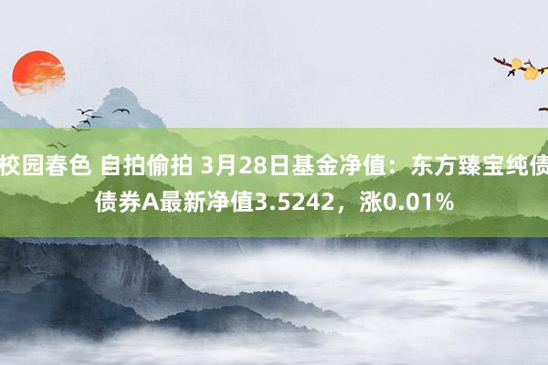 校园春色 自拍偷拍 3月28日基金净值：东方臻宝纯债债券A最新净值3.5242，涨0.01%