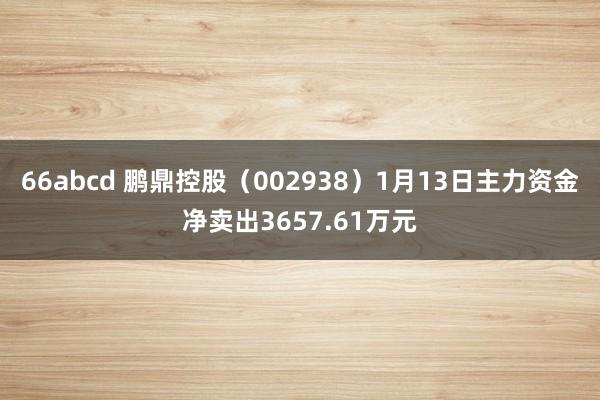 66abcd 鹏鼎控股（002938）1月13日主力资金净卖出3657.61万元