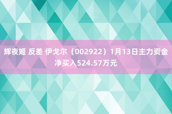 辉夜姬 反差 伊戈尔（002922）1月13日主力资金净买入524.57万元