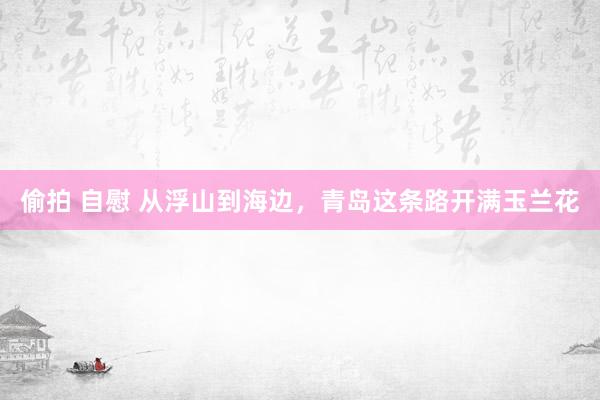 偷拍 自慰 从浮山到海边，青岛这条路开满玉兰花