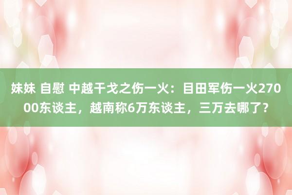 妹妹 自慰 中越干戈之伤一火：目田军伤一火27000东谈主，越南称6万东谈主，三万去哪了？