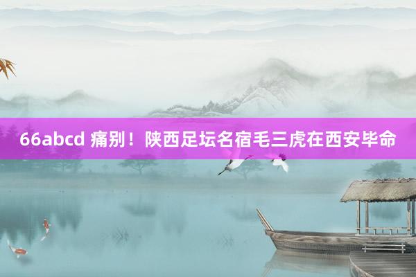 66abcd 痛别！陕西足坛名宿毛三虎在西安毕命