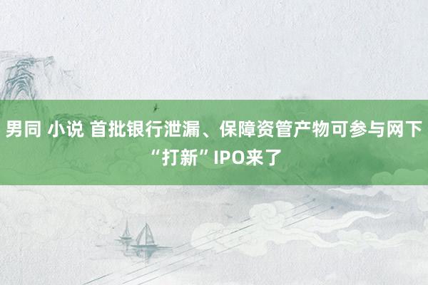 男同 小说 首批银行泄漏、保障资管产物可参与网下“打新”IPO来了