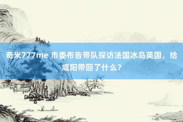 奇米777me 市委布告带队探访法国冰岛英国，给咸阳带回了什么？