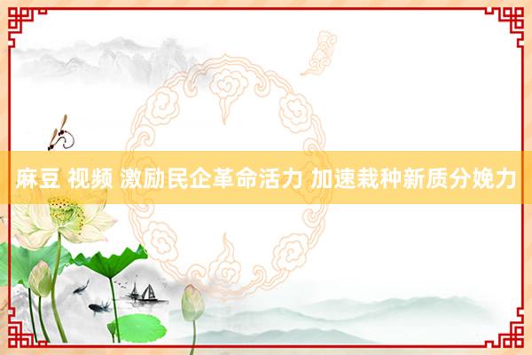 麻豆 视频 激励民企革命活力 加速栽种新质分娩力