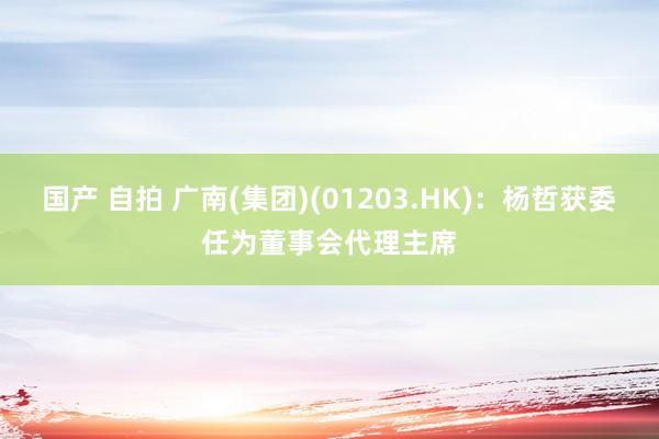 国产 自拍 广南(集团)(01203.HK)：杨哲获委任为董事会代理主席