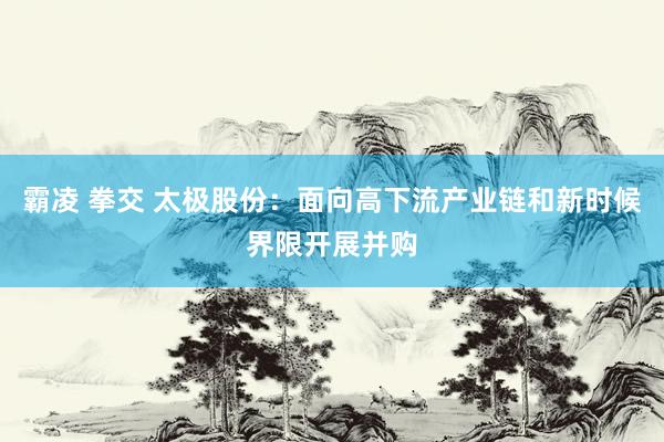霸凌 拳交 太极股份：面向高下流产业链和新时候界限开展并购