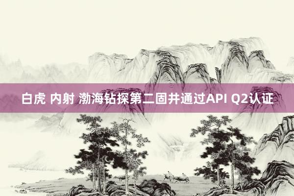 白虎 内射 渤海钻探第二固井通过API Q2认证