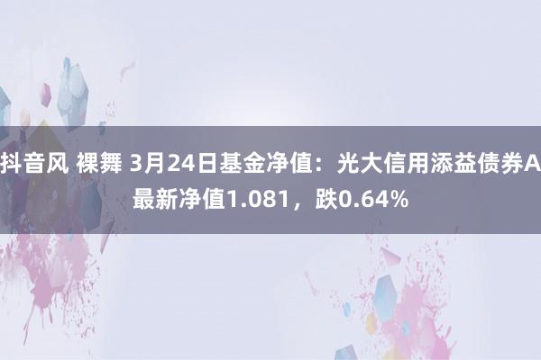 抖音风 裸舞 3月24日基金净值：光大信用添益债券A最新净值1.081，跌0.64%