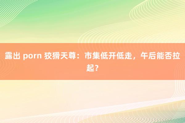 露出 porn 狡猾天尊：市集低开低走，午后能否拉起？