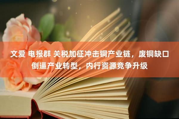 文爱 电报群 关税加征冲击铜产业链，废铜缺口倒逼产业转型，内行资源竞争升级
