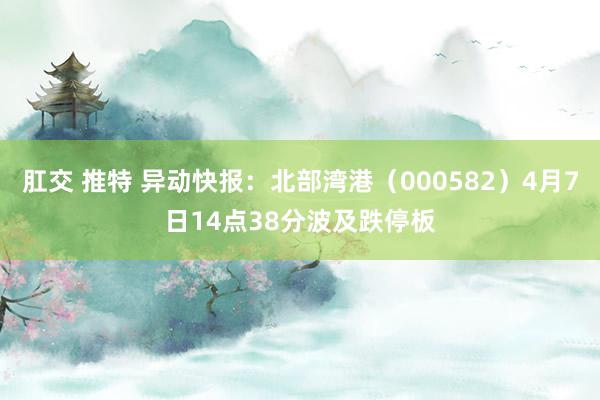 肛交 推特 异动快报：北部湾港（000582）4月7日14点38分波及跌停板