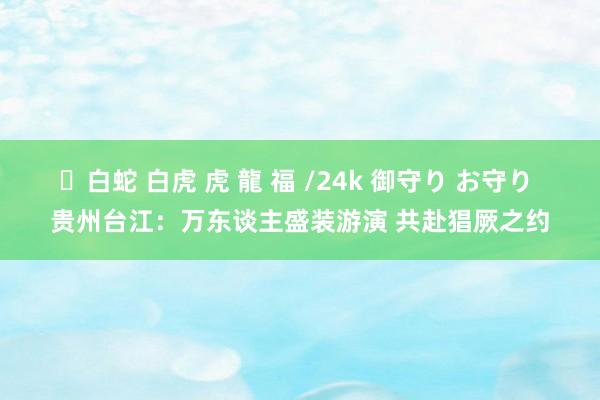 ✨白蛇 白虎 虎 龍 福 /24k 御守り お守り 贵州台江：万东谈主盛装游演 共赴猖厥之约