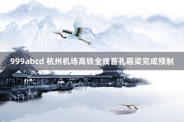 999abcd 杭州机场高铁全线首孔箱梁完成预制