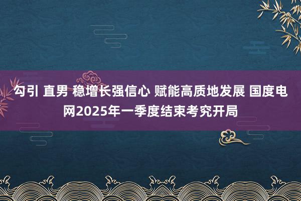 勾引 直男 稳增长强信心 赋能高质地发展 国度电网2025年一季度结束考究开局