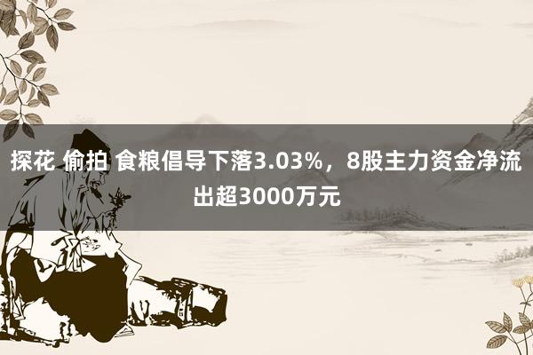 探花 偷拍 食粮倡导下落3.03%，8股主力资金净流出超3000万元