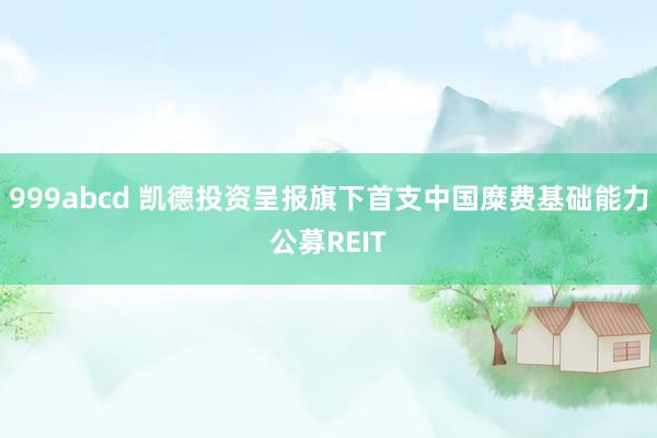 999abcd 凯德投资呈报旗下首支中国糜费基础能力公募REIT