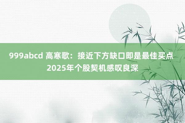 999abcd 高寒歌:接近下方缺口即是最佳买点 2025年个股契机感叹良深