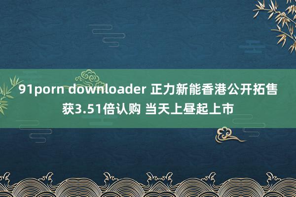91porn downloader 正力新能香港公开拓售获3.51倍认购 当天上昼起上市