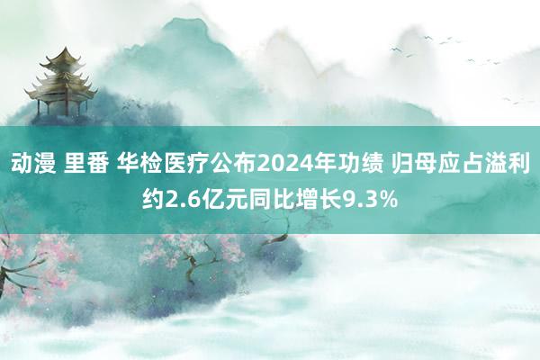 动漫 里番 华检医疗公布2024年功绩 归母应占溢利约2.6亿元同比增长9.3%