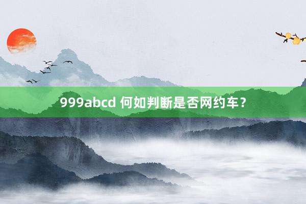 999abcd 何如判断是否网约车？